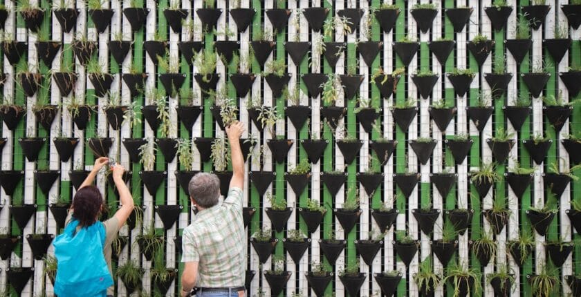 Photo Community garden