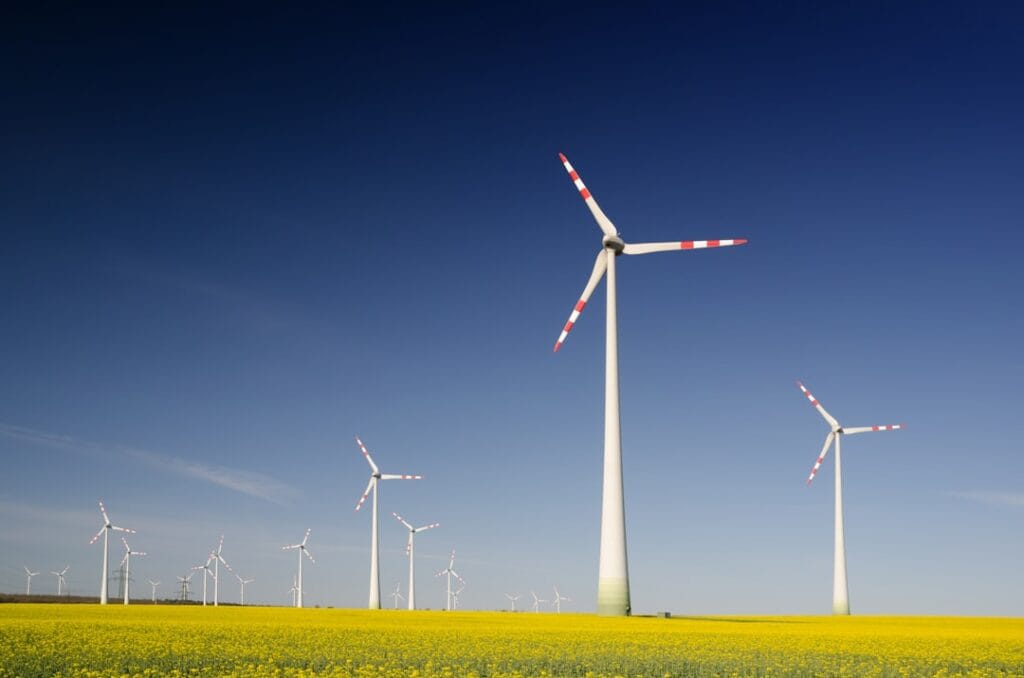 Photo Sustainability report