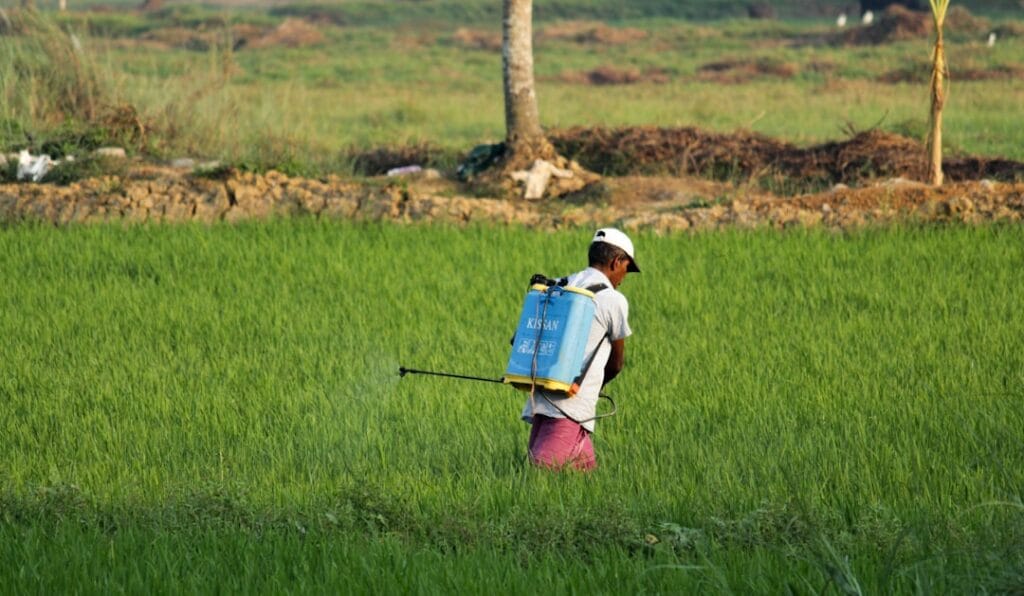 Photo Agricultural loans