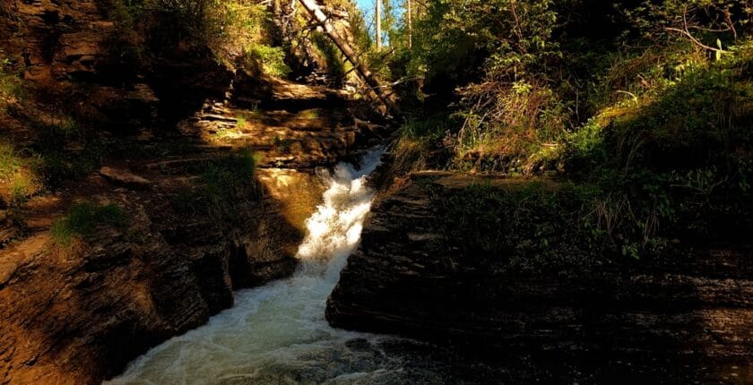 Photo Lead nurturing: Automation platform