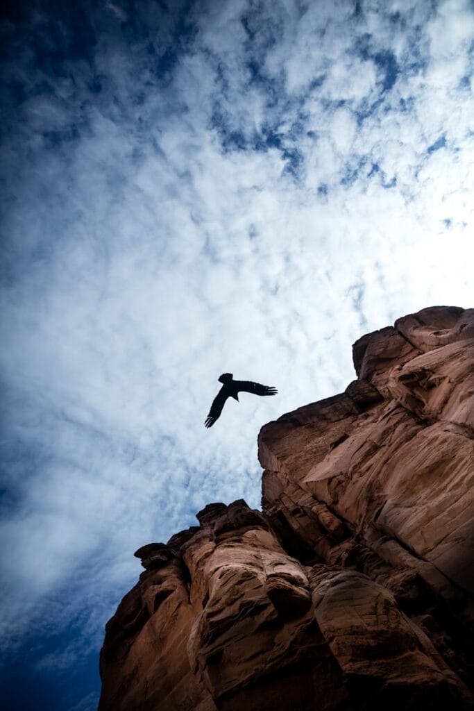 Photo "Agile transformation in banking: levers, obstacles, and feedback"