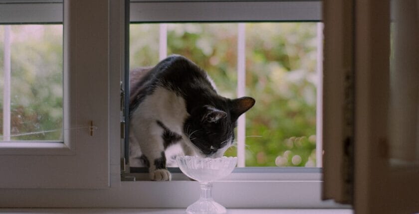 Photo Trust and Compliance