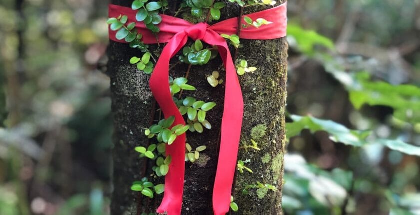 Photo Employee satisfaction survey