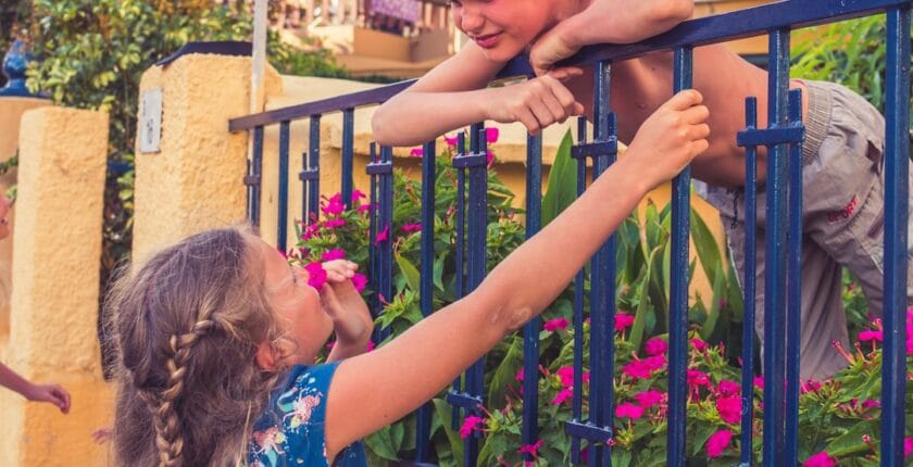 Photo Merger announcement