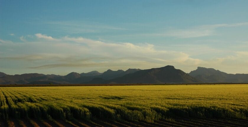 Photo Chatbot interface