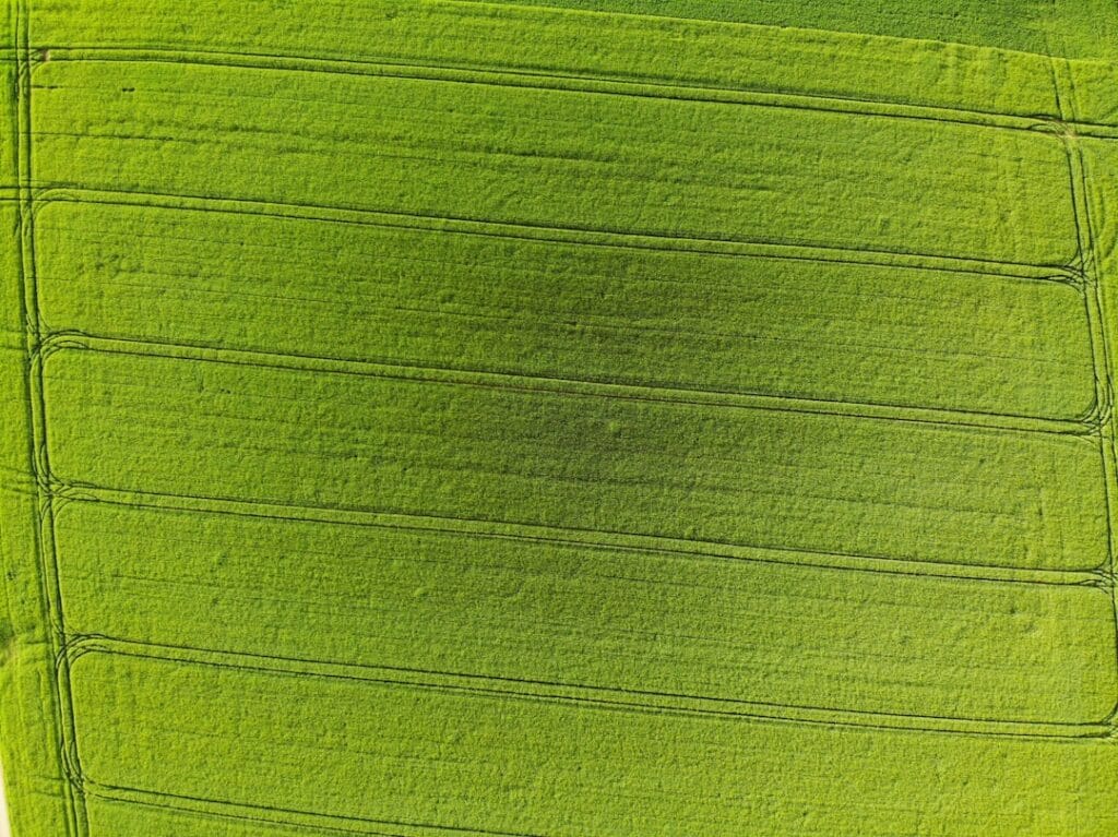 Photo Green initiatives