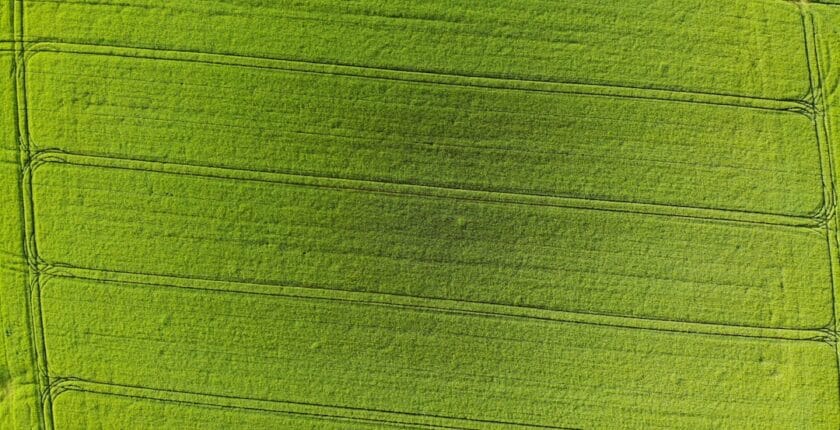 Photo Green initiatives