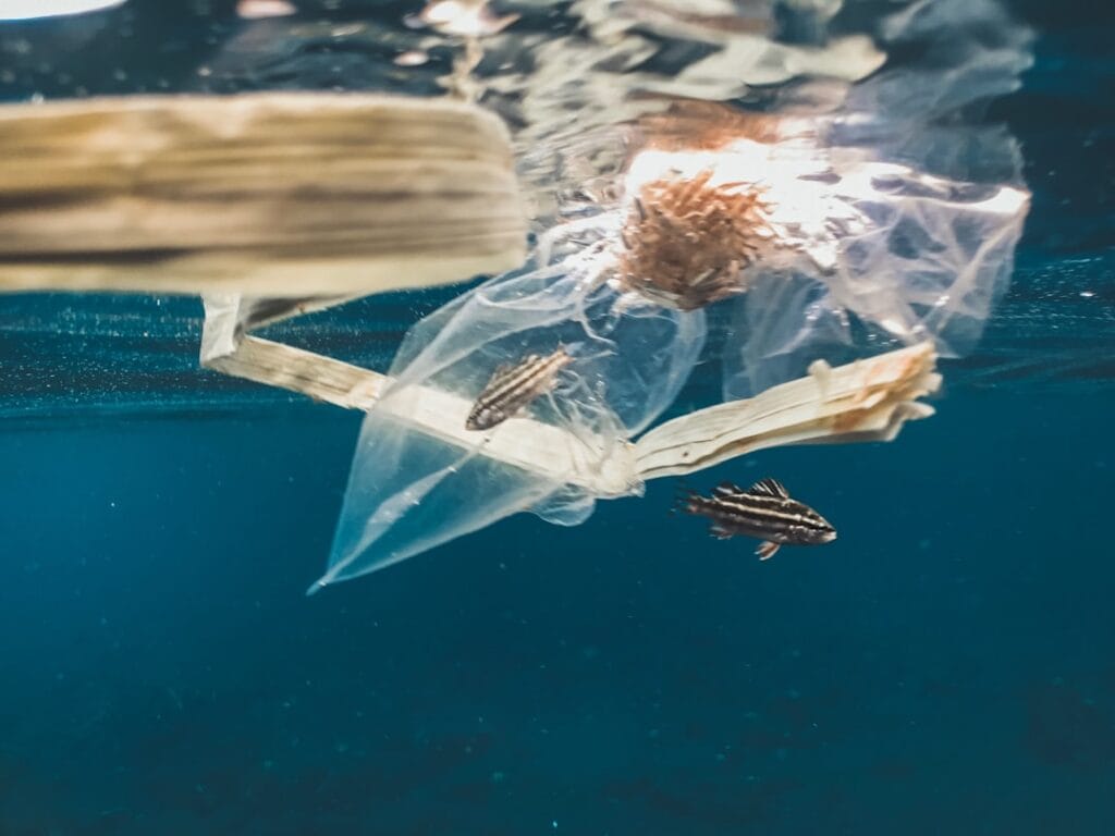 Photo Ocean conservation