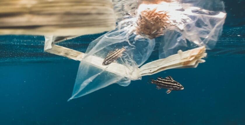 Photo Ocean conservation