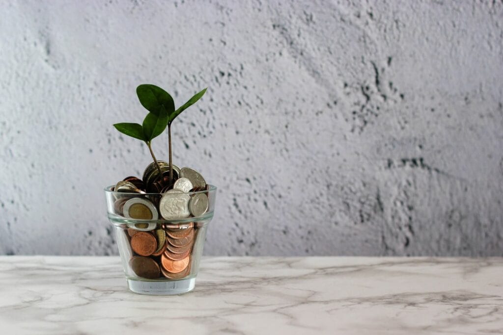 Photo Growing plant