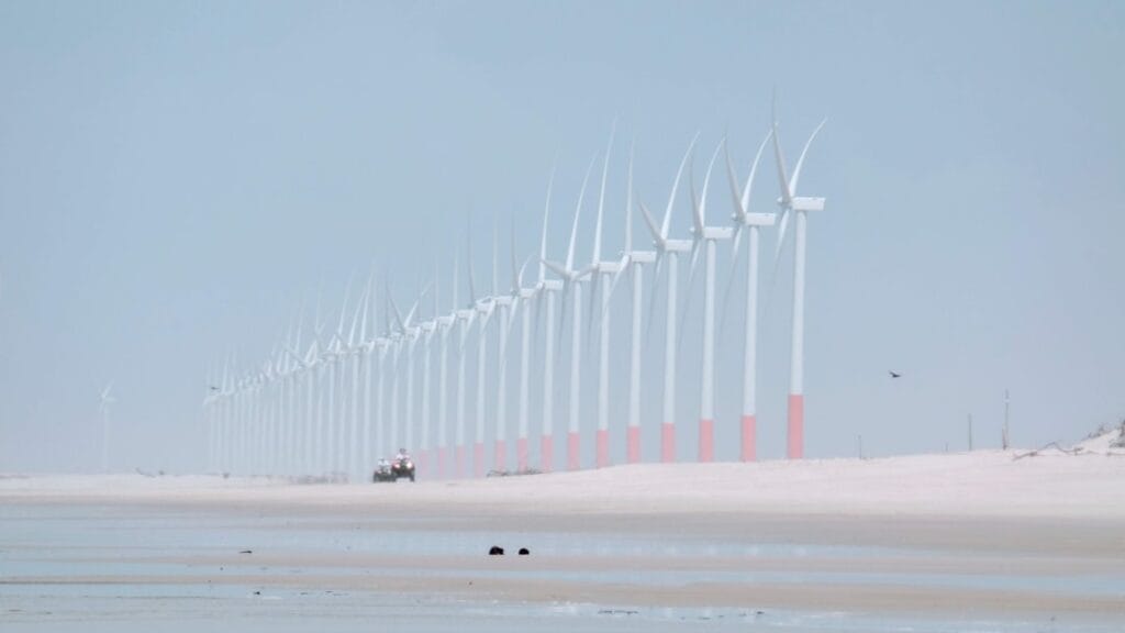 Photo Sustainable Insurance