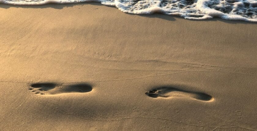 Photo Carbon footprint