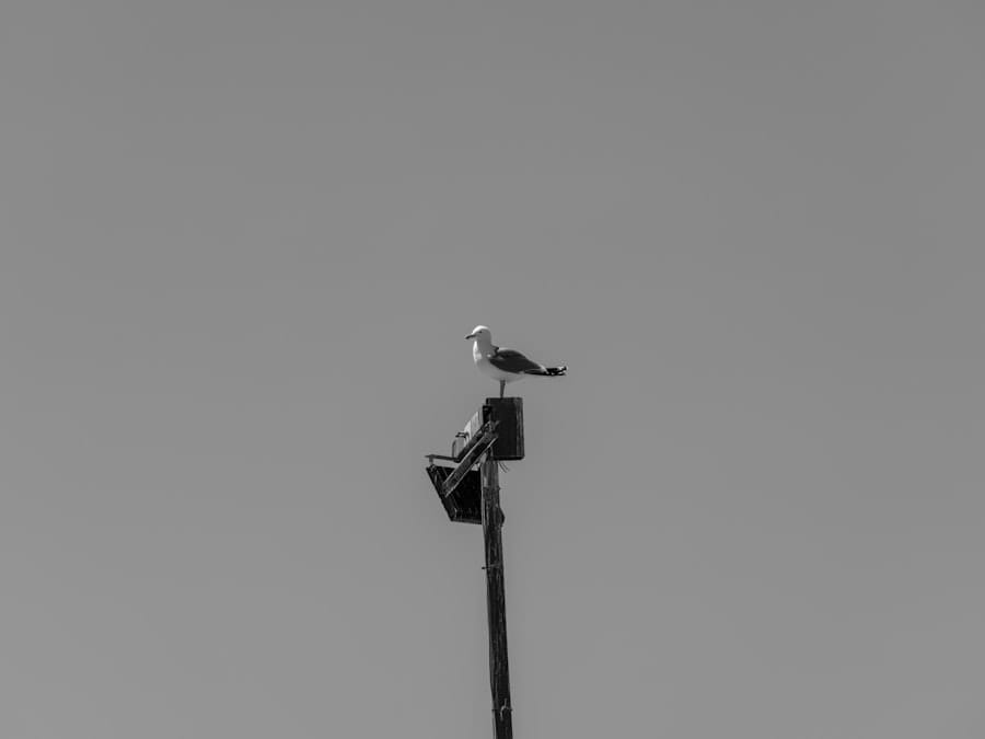 AI monitoring