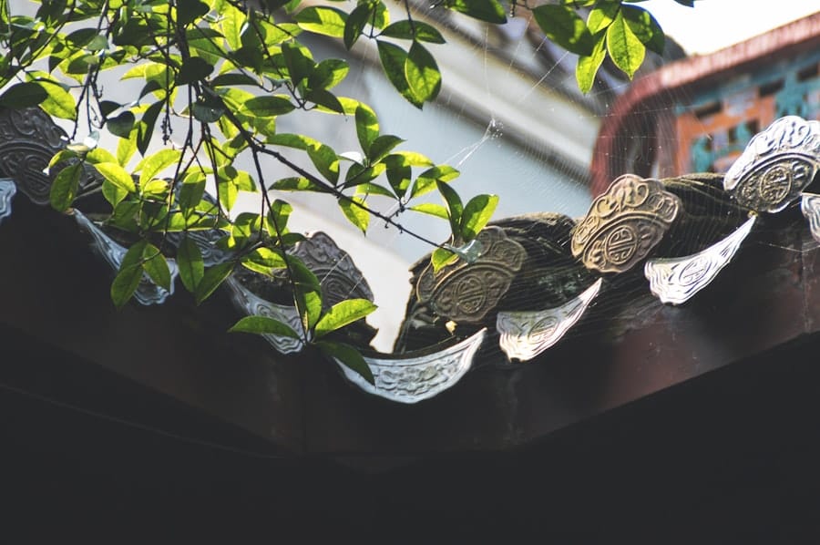 Sustainable Finance