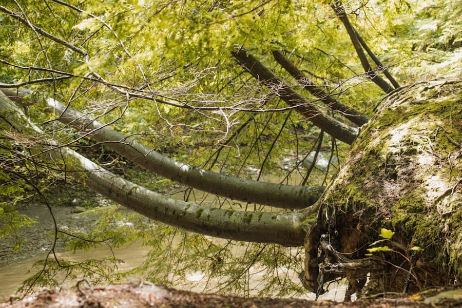 Resilience Framework