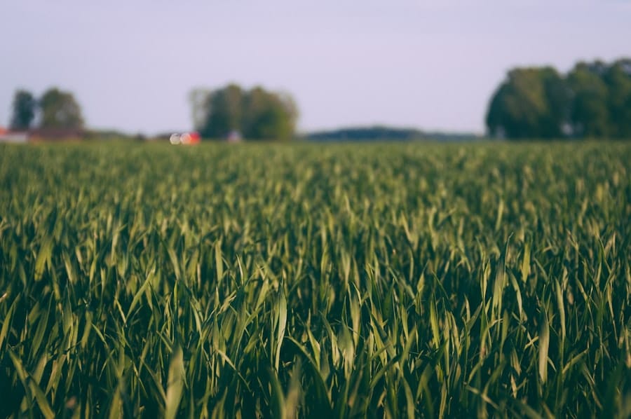 Agricultural insurance