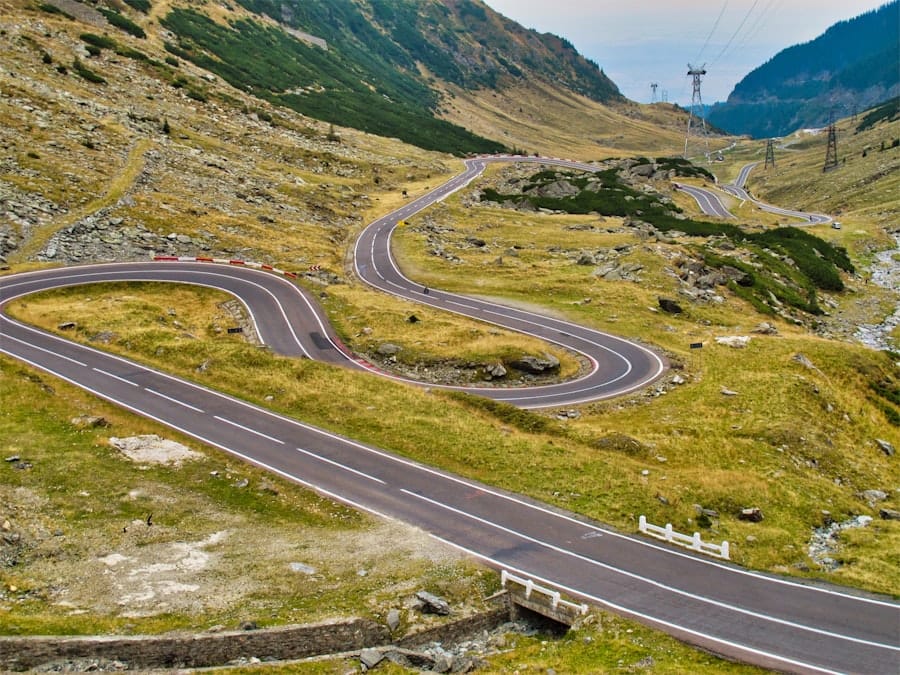 Data governance: roadmap