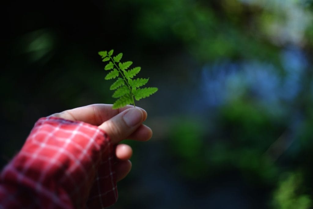 Photo Sustainable investment