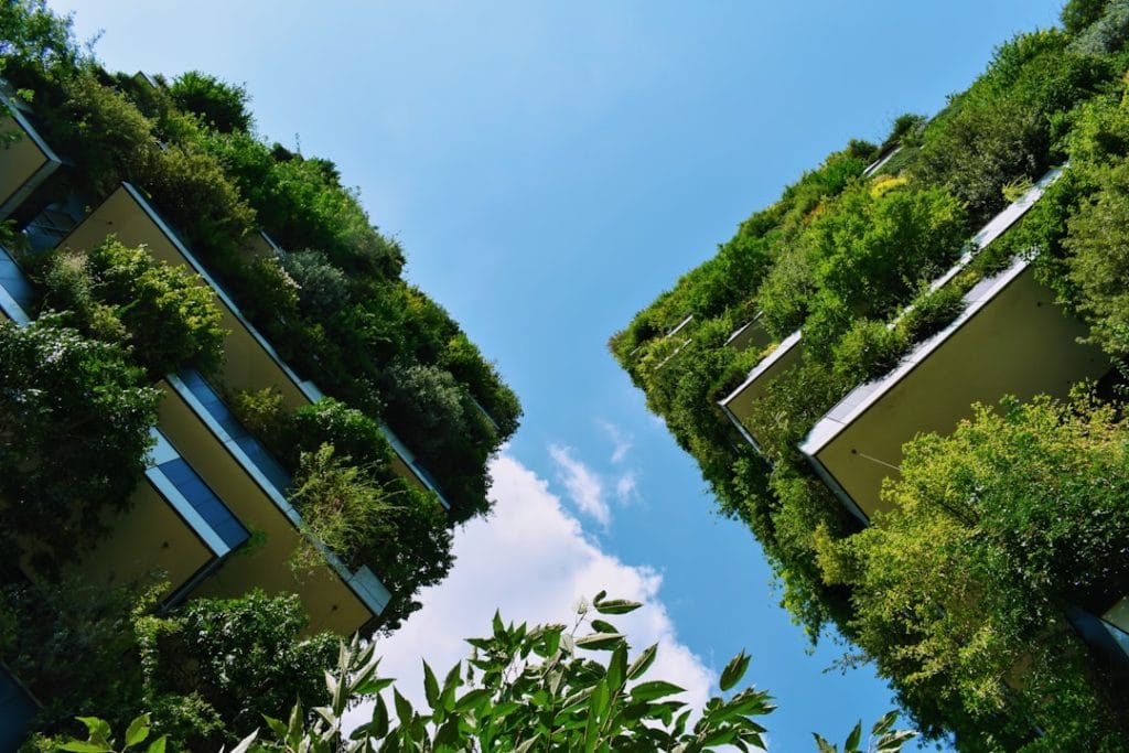 Photo Sustainable portfolio
