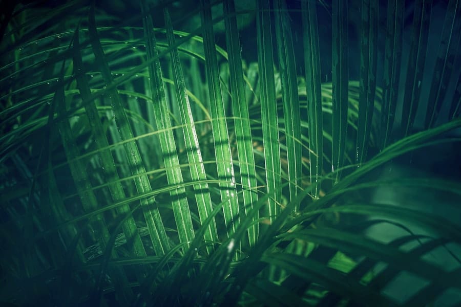 Photo Digital transformation and compliance: 