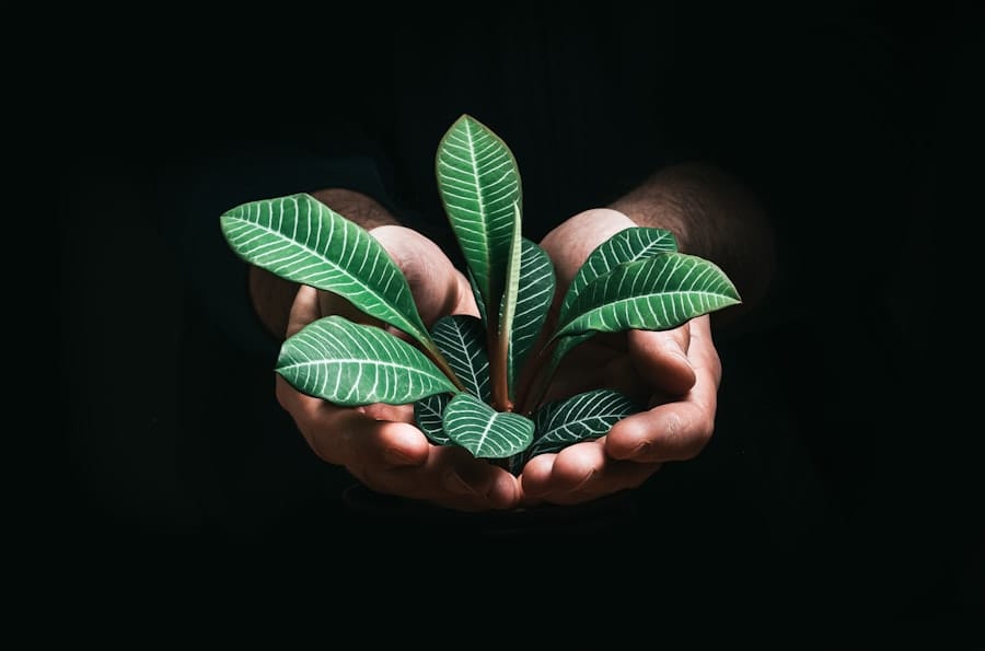 Photo Sustainable Finance