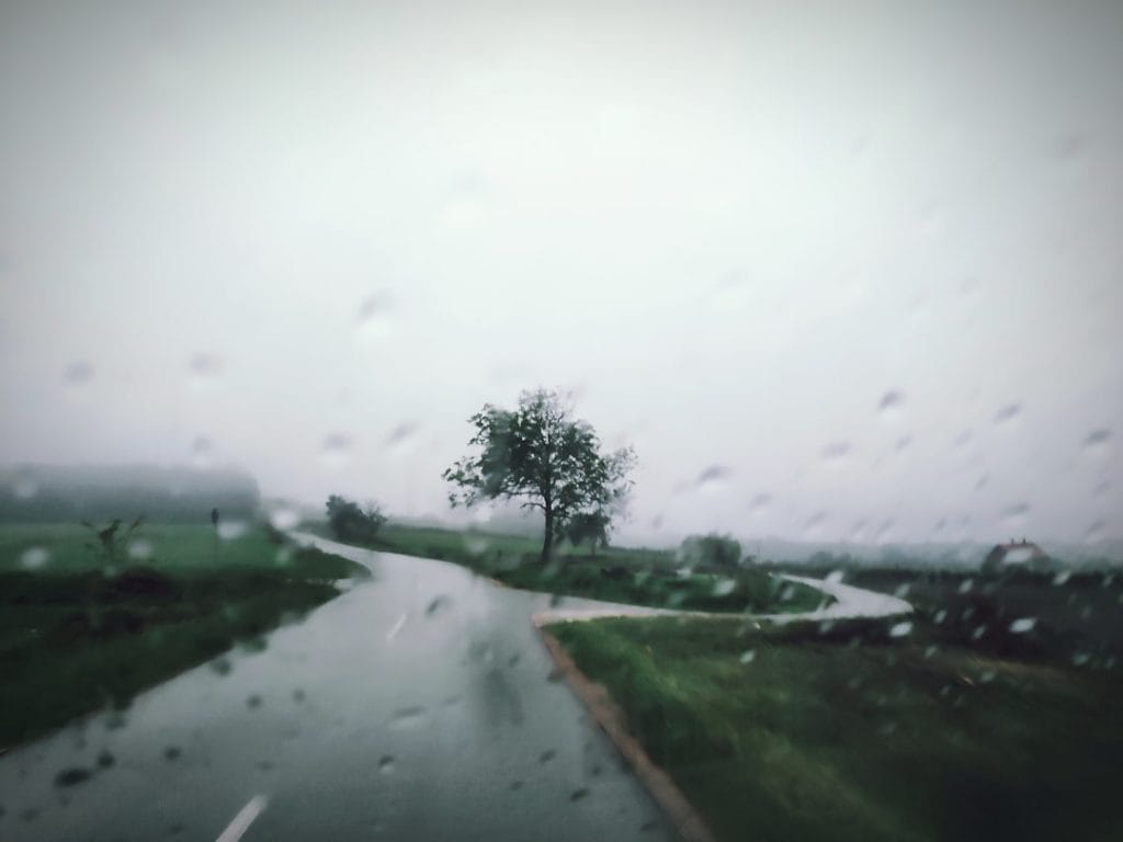 Photo AI Forecasting
