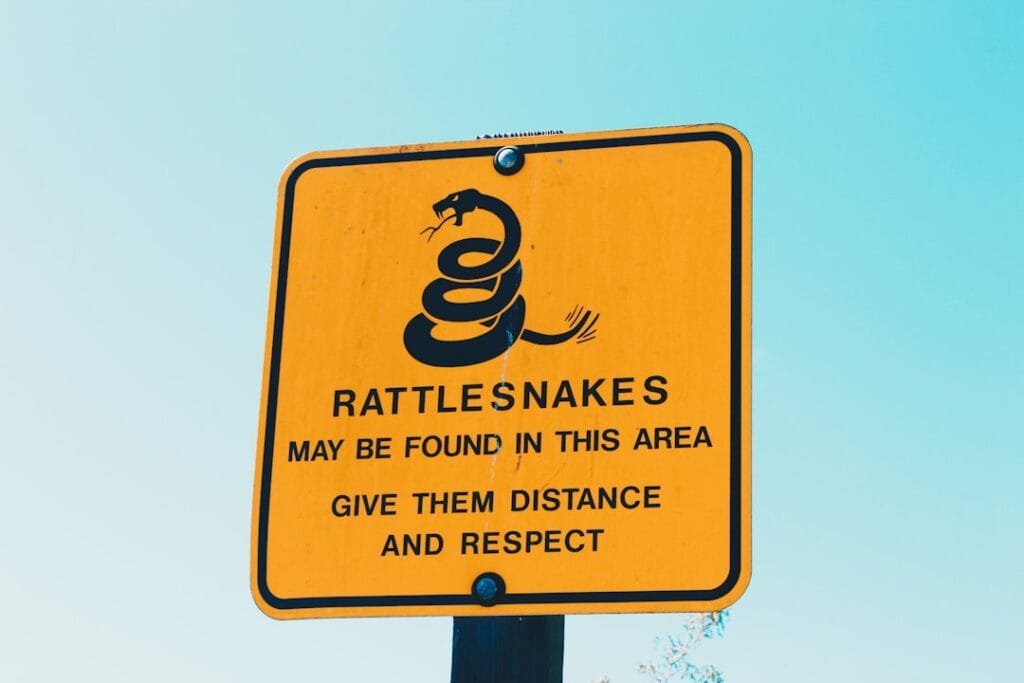 Photo AI Compliance
