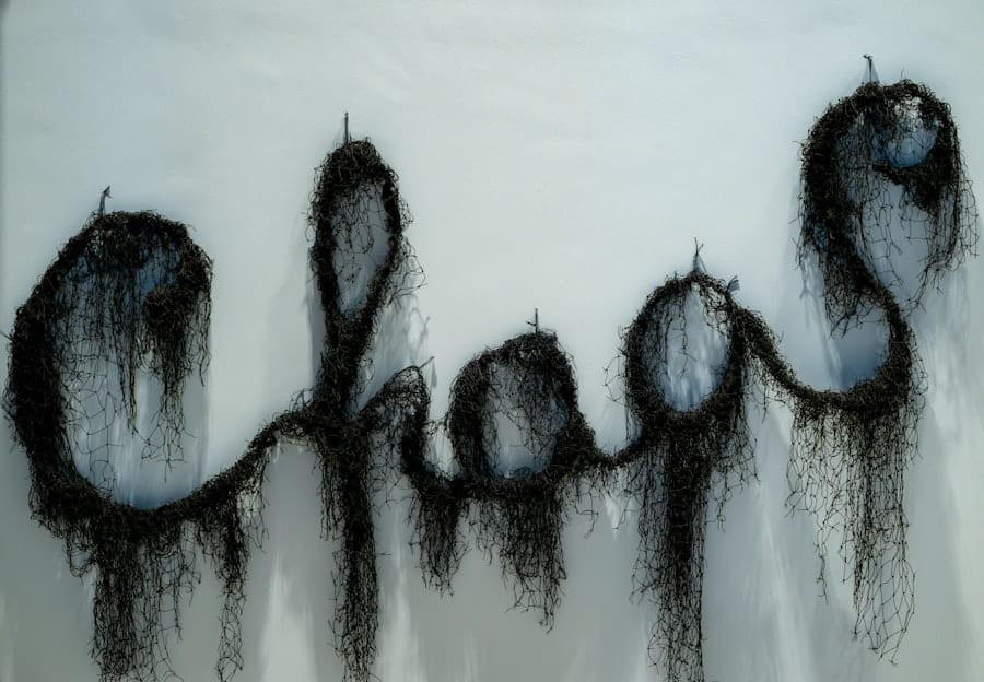 Photo Algorithmic art