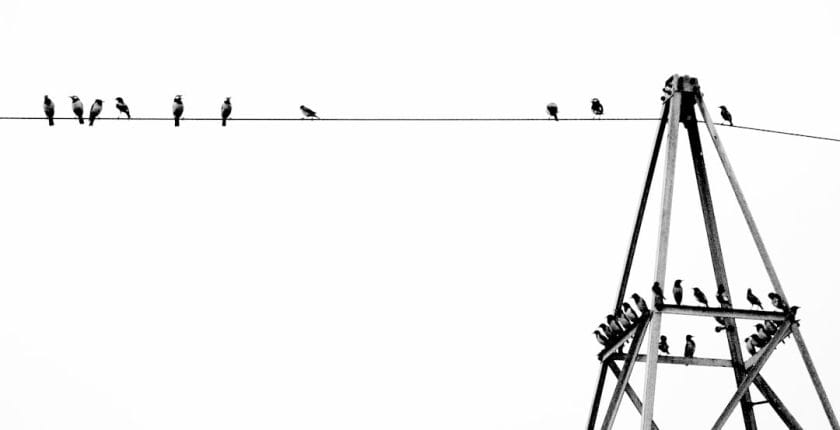 Photo Workflow diagram