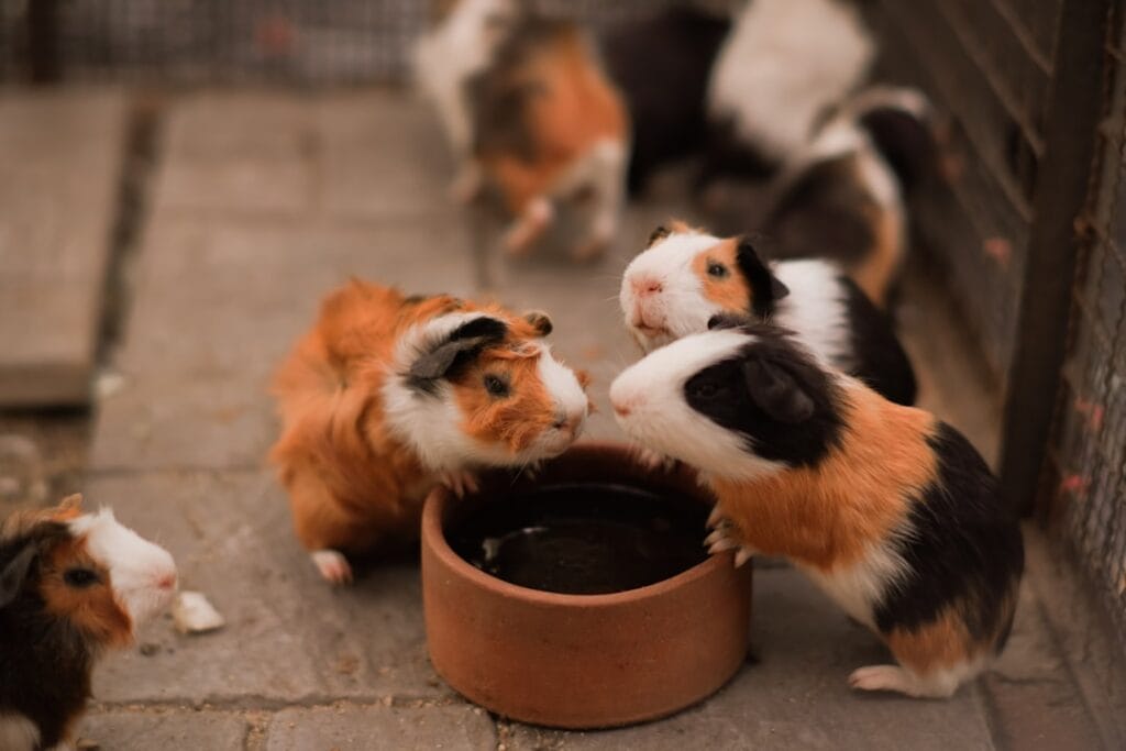 Photo Teamwork synergy