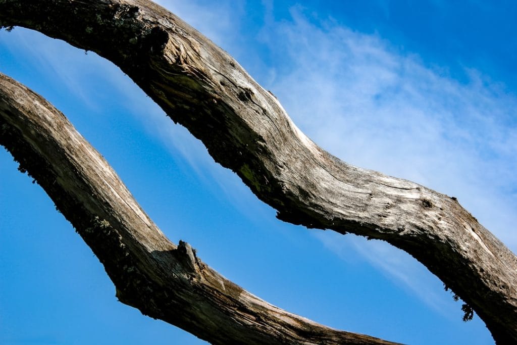 Photo Resilience Framework