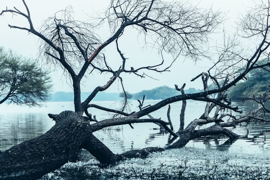 Photo Resilience Framework