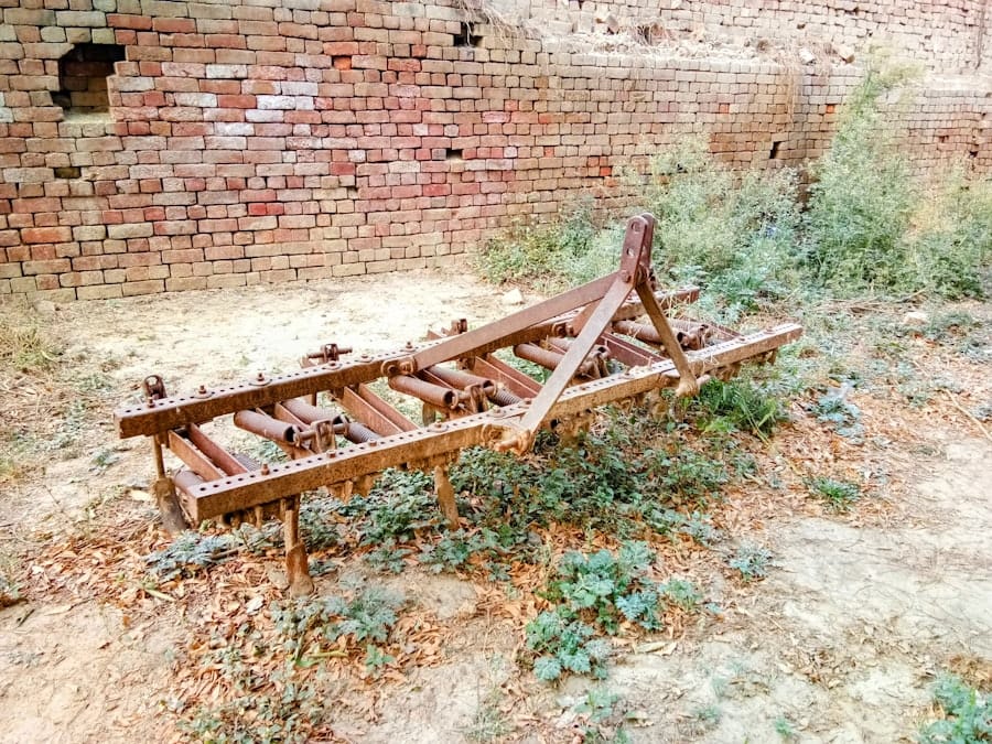 Photo AI Implementation