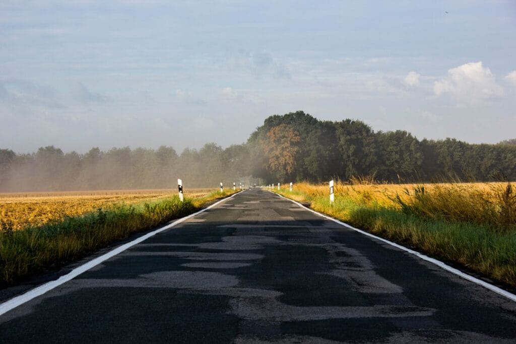 Photo AI roadmap
