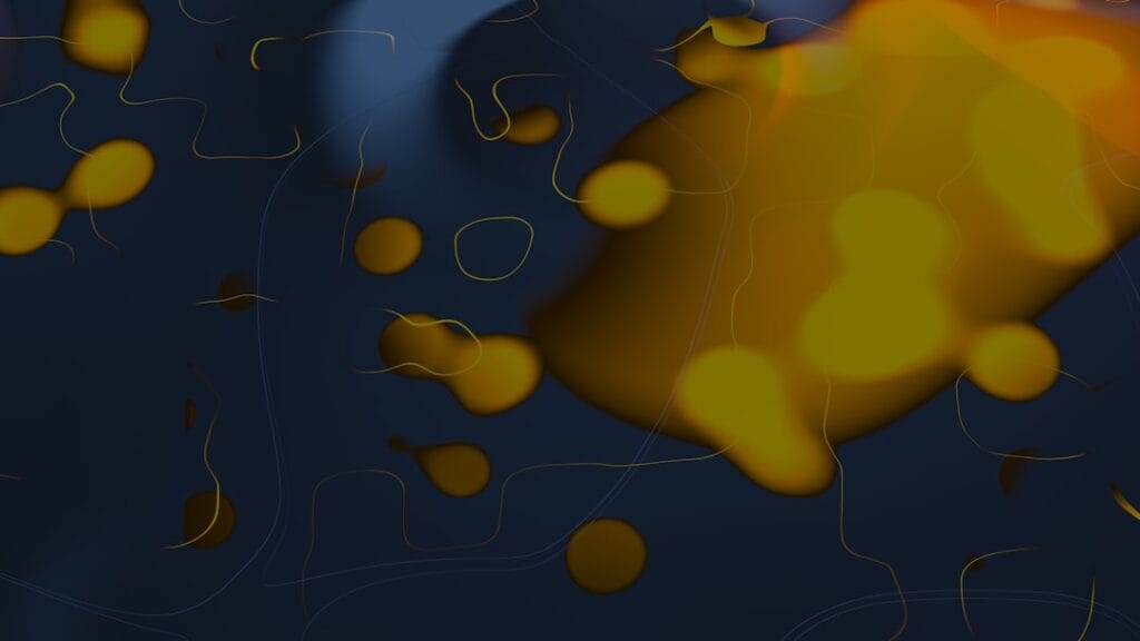 Photo Weather map