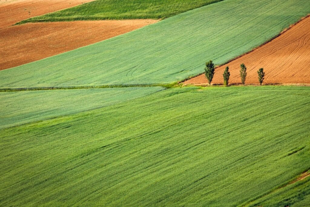 Photo Agricultural insurance