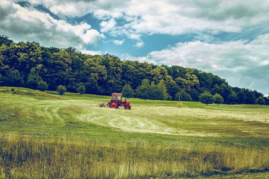 Photo Agricultural insurance