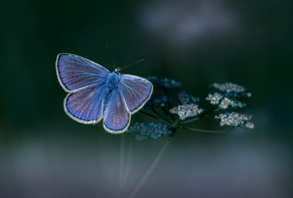 Photo transformation ESG