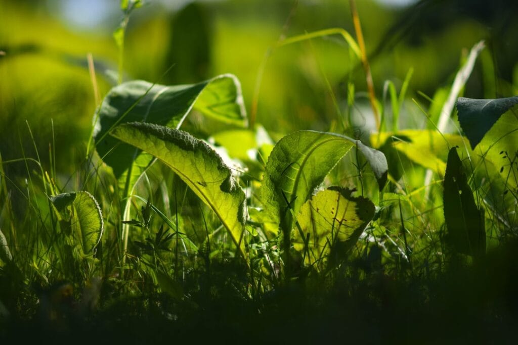 Photo Sustainability report