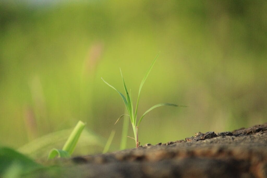 Photo Sustainable business