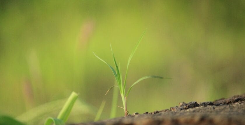 Photo Sustainable business