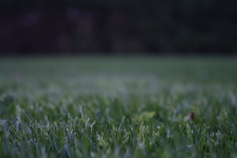 Photo Sustainable business