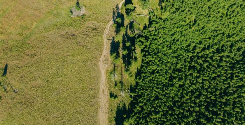 Photo Carbon footprint