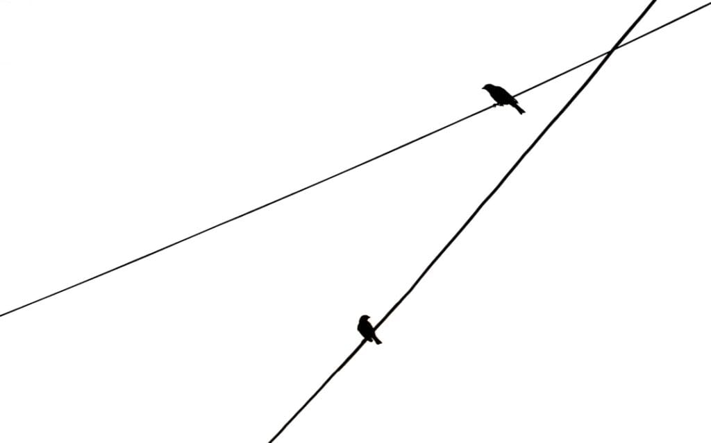 Photo Data flow diagram
