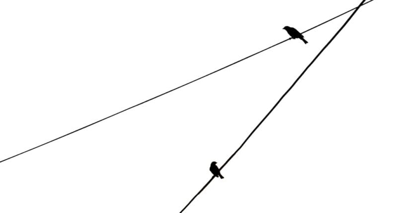 Photo Data flow diagram