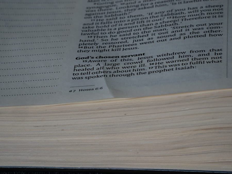 Photo Algorithm audit