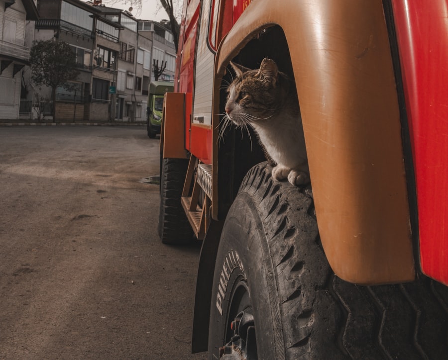 Assistance auto