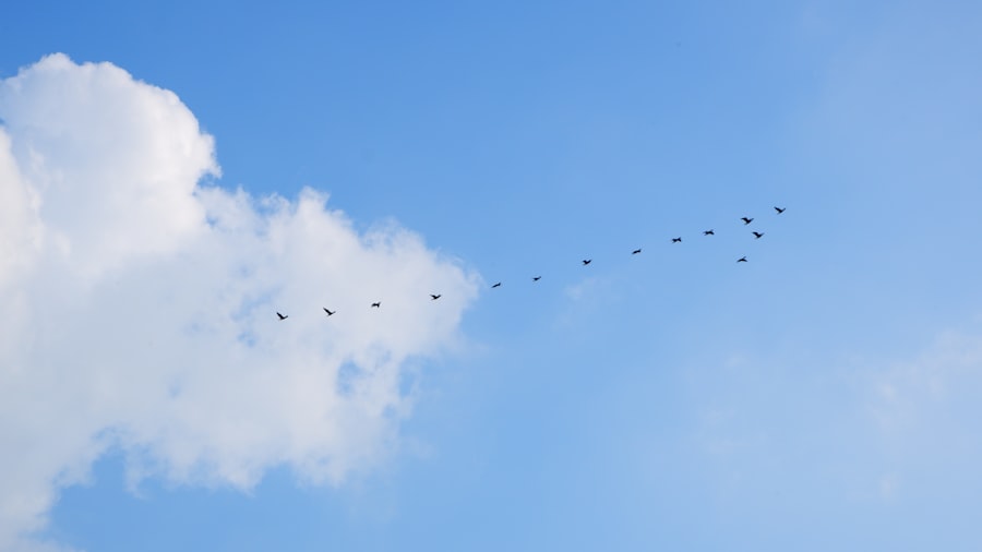police cloud migration