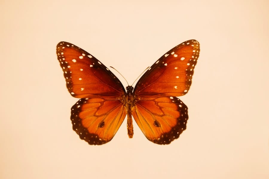 hybridation IA
