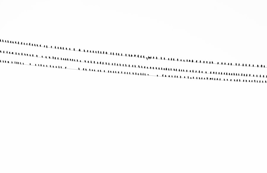 Souscription pro TPE/PME